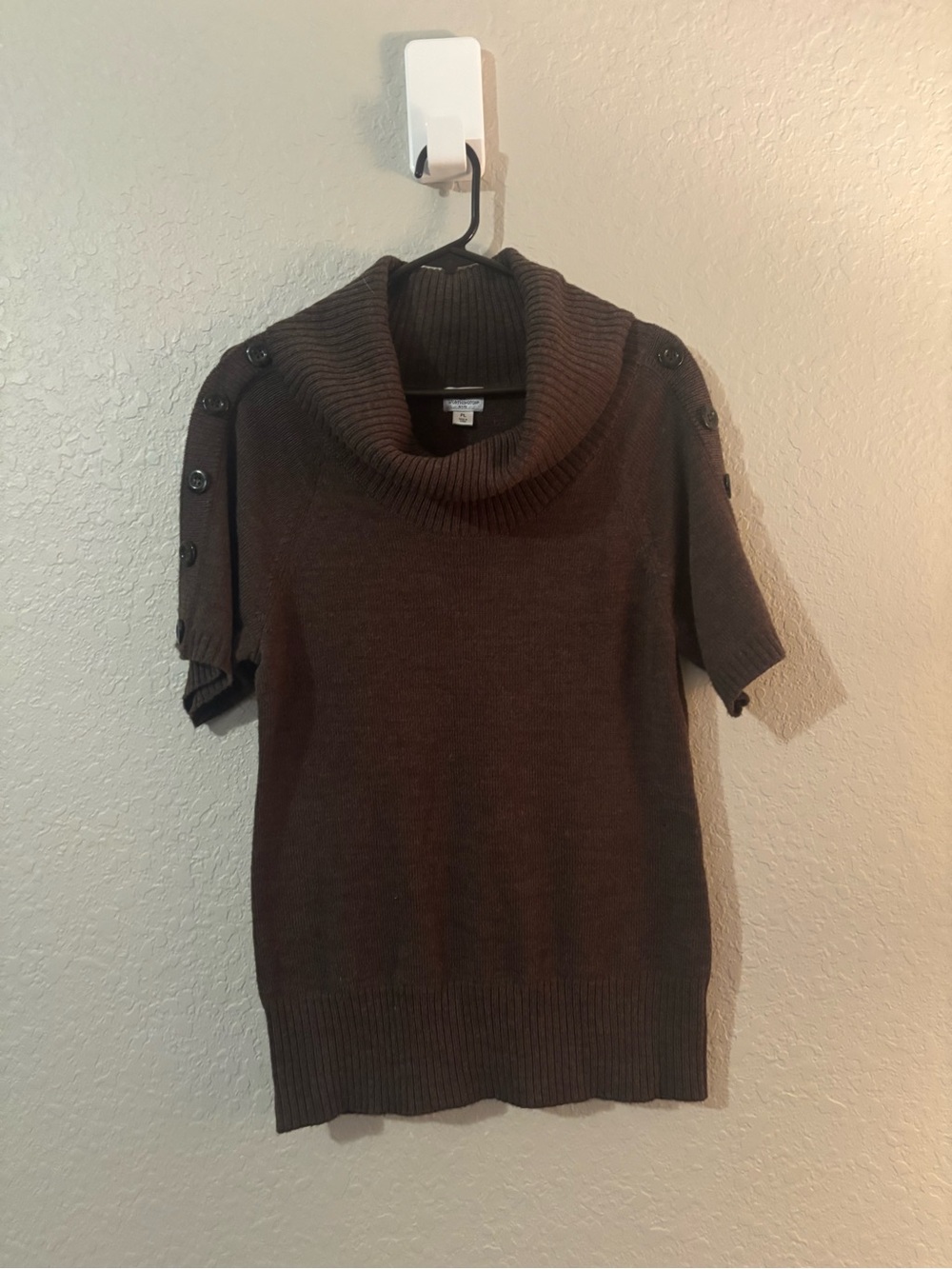 Petite Cowl Neck Short Sleeve Sweater in Brown